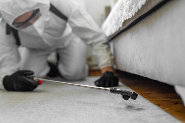 Professional Ant Control technician working in Upper Lake, CA